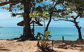 Camping e Chalé do Claudinho